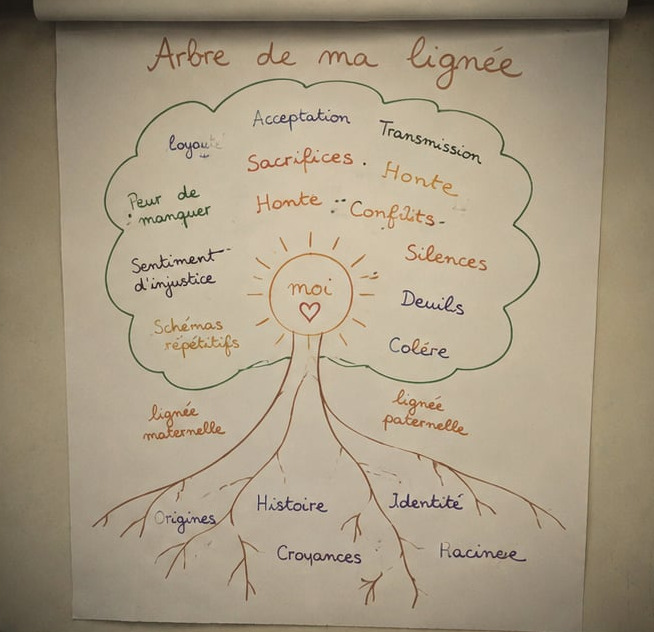 Dessin de l'arbre d'une lignée